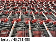 Russia, St. Petersburg, 10,12,2014 Empty carts for products in the supermarket. Редакционное фото, фотограф Анна Кривицкая / Фотобанк Лори