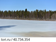 Lake in Karelia covered with snow and ice. Стоковое фото, фотограф Анна Кривицкая / Фотобанк Лори