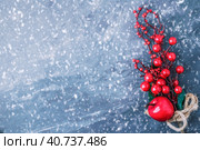 Spruce branch tree branches with Christmas decor on a snowy blue background. Christmas, New Year's concept. Top view, close-up. Copy space. Стоковое фото, фотограф Tatiana Syrtseva / Фотобанк Лори