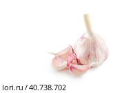 Головка чеснока и несколько зубков крупным планом на белом фоне. A head of young garlic and a few cloves of garlic on a white background. Стоковое фото, фотограф Валерий Елистратов / Фотобанк Лори
