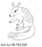 Древнее сумчатое животное. Животное Австралии. Animal sketch illustration with cute cartoon style. Стоковая иллюстрация, иллюстратор Ольга Головкина / Фотобанк Лори