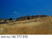Hie rapolis Ancient City Ruin in Pa mukkale in Turkey (2009 год). Стоковое фото, фотограф Анна Кривицкая / Фотобанк Лори