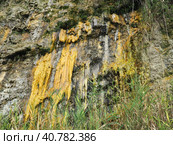 Drainage of organic wastewater from an overflowing sewerage system from a cliff to the Vysoky Bereg beach in Anapa, Krasnodar Territory, August 2021. Feces flow down. Inaction of city utilities. Стоковое фото, фотограф Юлия Петровская / Фотобанк Лори