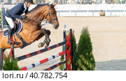 BitRiver CUP Show Jumping Tournament. Equestrian sports. show jumping (2023 год). Редакционное фото, фотограф Скрипачев Антон / Фотобанк Лори