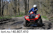 A girl driving a red quad bike rides through a puddle in the spring forest. Front view. Extreme type of outdoor activities. ATV riding. Стоковое фото, фотограф Воловодов Владимир / Фотобанк Лори