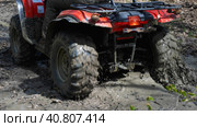 Close-up of the red ATV riding through the muddy woods. Rear view. Extreme type of outdoor activities. Riding on a quad bike. Стоковое фото, фотограф Воловодов Владимир / Фотобанк Лори