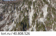 Горный Алтай зимой: лес на берегу Телецкого озера. Вид с воздуха. Altai mountains in winter: forest on the shores of Teletskoye Lake. Aerial view. Стоковое видео, видеограф Евгений Романов / Фотобанк Лори
