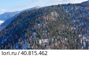 Горный Алтай зимой: лес на берегу Телецкого озера. Вид с воздуха. Altai mountains in winter: forest on the shores of Teletskoye Lake. Aerial view. Стоковое видео, видеограф Евгений Романов / Фотобанк Лори