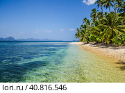 Sandy Beach with Palm Trees. El Nido, Palawan, Philippines (2014 год). Стоковое фото, фотограф Igor Tichonow / Фотобанк Лори