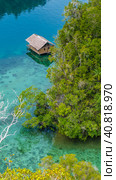 Bamboo Hut in Mangrove near Warikaf Homestay, Kabui Bay and Passage. Gam Island, West Papuan, Raja Ampat, Indonesia (2016 год). Стоковое фото, фотограф Igor Tichonow / Фотобанк Лори