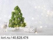 Creative alternative Christmas tree decorated green moss. DIY. Стоковое фото, фотограф Светлана Лажко / Фотобанк Лори