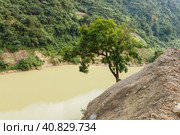 Nam na River. Lonely tree on a rocky shore. Lai Chau province. Vietnam (2018 год). Стоковое фото, фотограф Михаил Пряхин / Фотобанк Лори