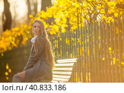 Portrait of a pretty young woman with light brown hair. A beautiful woman in an elegant coat sits on a bench in an autumn park against a background of yellow foliage. Fall season. Стоковое фото, фотограф Андрей Степанов / Фотобанк Лори