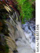 Fallen leaves in streams of water. Waterfall on a forest river closeup. Autumn mood. Perfect for design and background. Стоковое фото, фотограф Андрей Степанов / Фотобанк Лори