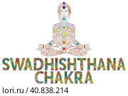 Swadhishthama Chakra. Vector zentangle object for decoration. Стоковая иллюстрация, иллюстратор Наталья Андрейченко / Фотобанк Лори