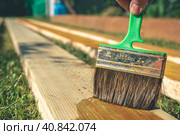Coating wooden boards with an antiseptic with a brush. construction. Стоковое фото, фотограф Ольга Ильина / Фотобанк Лори