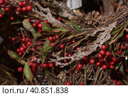 Christmas branches with red berries. Стоковое фото, фотограф Анна Кривицкая / Фотобанк Лори