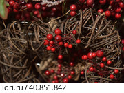 Christmas branches with red berries. Стоковое фото, фотограф Анна Кривицкая / Фотобанк Лори