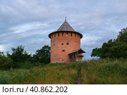 Alekseevskaya (White) Tower on a summer morning, Veliky Novgorod, Russia. Стоковое фото, фотограф Ula Ulachka / Фотобанк Лори