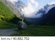 Скифский акинак в Северной Осетии (2023 год). Редакционное фото, фотограф Екатерина Свечникова / Фотобанк Лори