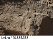 Sandstone is a fragmentary sedimentary rock, a homogeneous or layered aggregate of fragmentary grains and grains of sand bound by any mineral substance, cement. Quarry natural yellow sand wall. Стоковое фото, фотограф Юлия Петровская / Фотобанк Лори