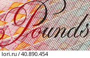 Video of fragment of paper Pound banknote. Concept of money, finance, international cooperation, British currency exchange rate, money transactions, trade. Top view, close-up, flat lay, mock up. Стоковое видео, видеограф Виктория Катьянова / Фотобанк Лори