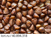 Close-up view of raw brown grains of buckwheat. Healthy vitamin organic vegetable porridge. Food background. Flat lay, macro, top view, mockup. Стоковое фото, фотограф Виктория Катьянова / Фотобанк Лори