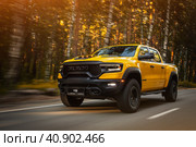 Novosibirsk, Russia - June  01, 2023:  yellow Dodge Ram Trx Havok Edition driving on road  on a warm summer day against the backdrop of  forest. Стоковое фото, фотограф Виталий Сова / Фотобанк Лори