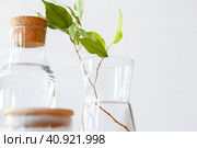 Close up of a glass bottleneck with liquid. Стоковое фото, фотограф Сергей Толмачёв / Фотобанк Лори
