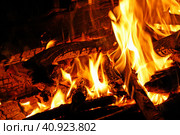 Огонь крупным планом. Ночной костер в лесу. / Fire from the fire close-up. The flame in the embers. Стоковое фото, фотограф Наталья Баранова / Фотобанк Лори