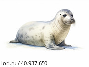 Harp seal, or bald seal. Phoca groenlandica, lat. Pagophilus groenlandicus on a light background, watercolor style, Generative AI. Стоковое AI-изображение, AI-художник Анна Кривицкая / Фотобанк Лори