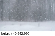 Heavy snowfall. Beautiful forest landscape of snow and blurred trees. Gently falling snow flakes. Bad snowy weather cold day. Winter nature background. Nobody, No People, Super Slow motion. Snowstorm. Стоковое видео, видеограф Марина Демидюк / Фотобанк Лори
