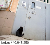 Черный кот сидит у двери подъезда (2023 год). Редакционное фото, фотограф Вячеслав Палес / Фотобанк Лори