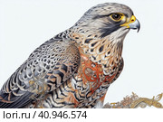Amur Falcon on a light background,, watercolor style, Generative AI. Стоковое AI-изображение, AI-художник Анна Кривицкая / Фотобанк Лори