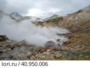 Долина гейзеров. Камчатка. Россия июль 2023. Стоковое фото, фотограф Владимир Макеев / Фотобанк Лори