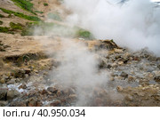 Долина гейзеров. Камчатка. Россия июль 2023. Стоковое фото, фотограф Владимир Макеев / Фотобанк Лори
