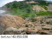 Долина гейзеров. Камчатка. Россия июль 2023. Стоковое фото, фотограф Владимир Макеев / Фотобанк Лори