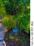 Waterfall of "Tears" in the Vorontsovsky Park. Стоковое фото, фотограф Анна Кривицкая / Фотобанк Лори