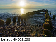 The groynes in the sea, a breakwater made of wood, sea waves protection from. Стоковое фото, фотограф Zima Nadezhda / Фотобанк Лори