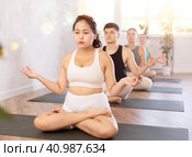 Young Asian lady performs comfortable lotus asana-Padmasana-Siddhasana pose. Стоковое фото, фотограф Яков Филимонов / Фотобанк Лори