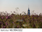 Летний рассветный пейзаж с видом на церковь Рождества Богородицы в селе Городище, Ярославская область (2023 год). Стоковое фото, фотограф Наталья Николаева / Фотобанк Лори