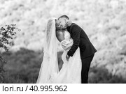 Счастливые молодожены обнимаются на фоне вечерней солнечной листвы, черно белый вариант. Стоковое фото, фотограф Иванов Алексей / Фотобанк Лори