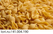 Conchiglie, Shells or Seashells Pasta Wallpaper. Spiral Raw Macaroni from Wheat flour rotating on Turntable. Close Up Top View. Uncooked Pasta Spinning. Full Frame. Food Background. Conchigliette. Стоковое видео, видеограф Марина Демидюк / Фотобанк Лори