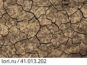 Texture of cracked dried soil. Dry ground with cracks. Brown rough surface of the soil during summer drought. Great for background and design. Ecology, climate change and global warming on Earth. Стоковое фото, фотограф Андрей Степанов / Фотобанк Лори