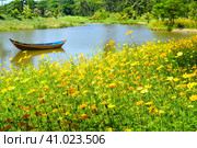 Yellow flowers against wooden boat floating in lake in Vietnam. Стоковое фото, фотограф Татьяна Терехина / Фотобанк Лори