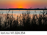 Beautiful summer colorful sunset on the lake. Стоковое фото, фотограф Оксана Прахова / Фотобанк Лори