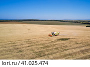 Rural landscape. A combine harvester picks up and threshes cut ears of grain. Shooting from a drone. Стоковое фото, фотограф Роман Дзюбало / Фотобанк Лори
