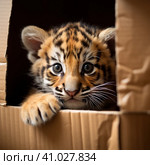 A tiger cub looks out of a cardboard box. a little predator. Generative AI. Стоковое AI-изображение, AI-художник Ирина Ручушкина / Фотобанк Лори