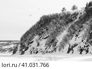 Зимний пейзаж с морским побережьем. Морской залив, покрытый льдом. Скалистый берег покрыт снегом. Бухта Гертнера, Охотское море, Магадан, Дальний Восток России. Черно-белая пейзажная фотография. Стоковое фото, фотограф Андрей Степанов / Фотобанк Лори