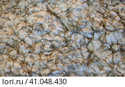 Background of textured surface of natural karst rocks. Стоковое фото, фотограф Попова Ольга / Фотобанк Лори